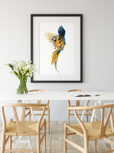 Explore a wide range of large bird species in this watercolor art collection.