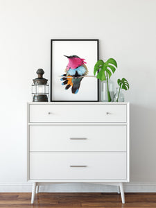 Explore a wide range of small and medium size bird species in this watercolor art collection.