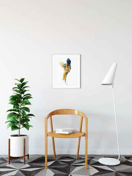 Blue Gold Macaw - Giclee Art Print