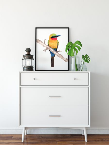 Red-throated BeeEater - Matte Poster Giclee Print