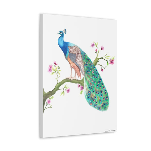 Peacock on a branch Art Canvas Gallery Print Wrap