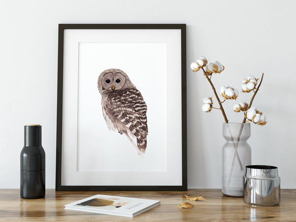 Barred Owl - Matte Poster Giclee Print