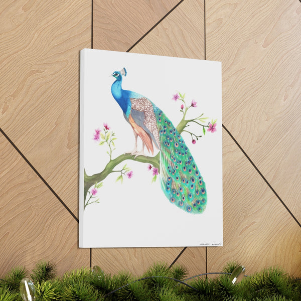 Peacock on a branch Art Canvas Gallery Print Wrap