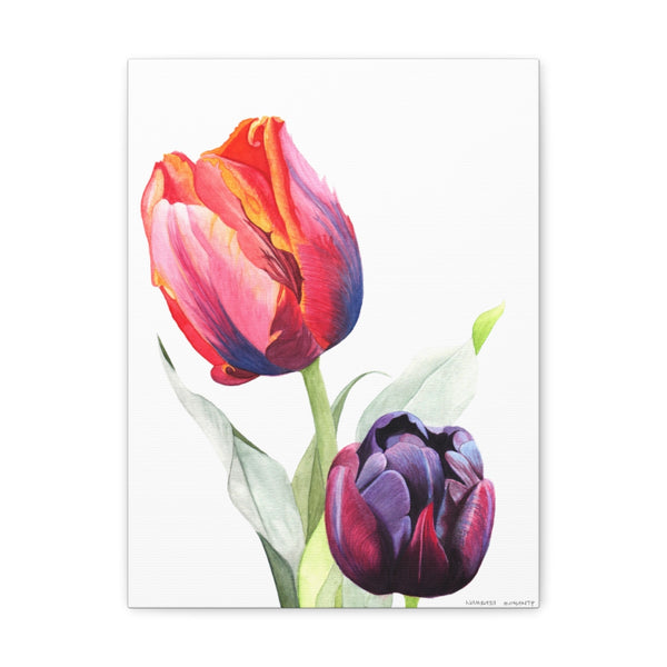 Tulips Rainbow & Black Art Canvas Gallery Print