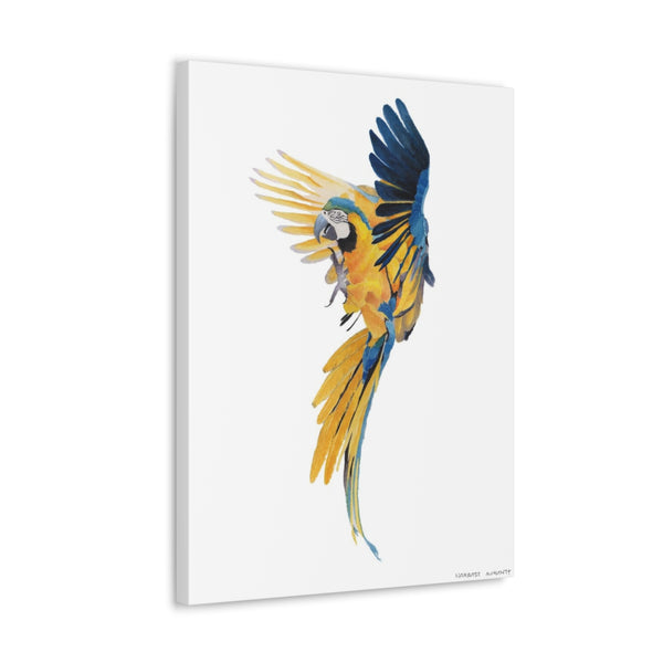 Blue Gold Macaw Art Canvas Gallery Print