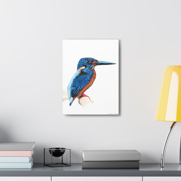 Common Kingfisher Art Canvas Gallery Print