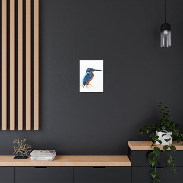 Common Kingfisher Art Canvas Gallery Print