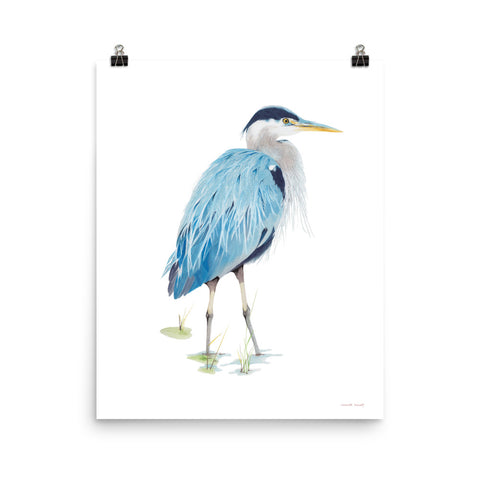 Blue Heron - Giclee Art Print