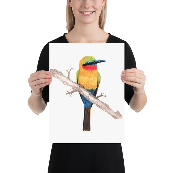 Red-throated BeeEater - Matte Poster Giclee Print