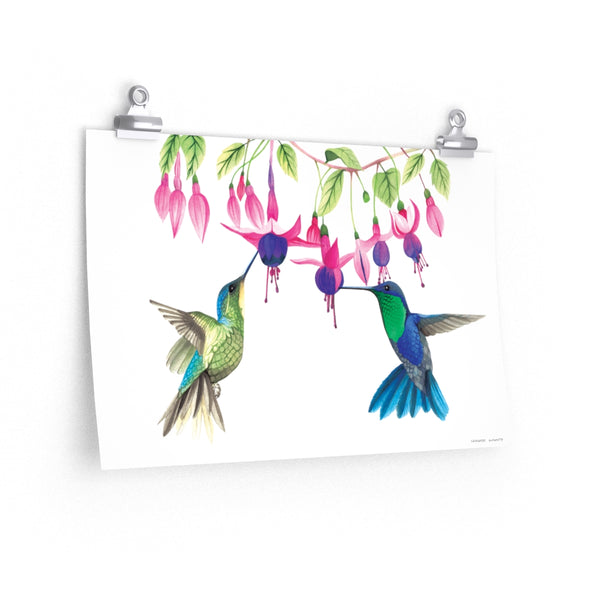 Hummingbirds Duo Premium Matte Poster Giclee Art Print