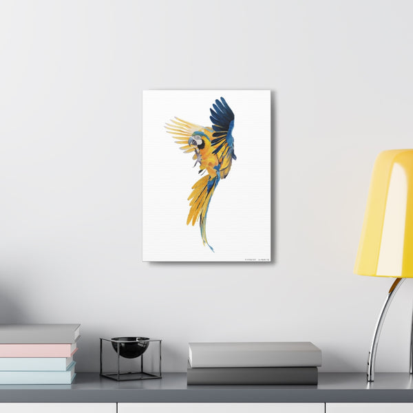 Blue Gold Macaw Art Canvas Gallery Print