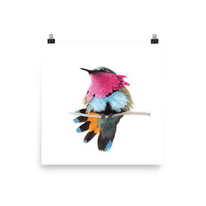 Ruby-throated Hummingbird - Matte Poster Giclee Print