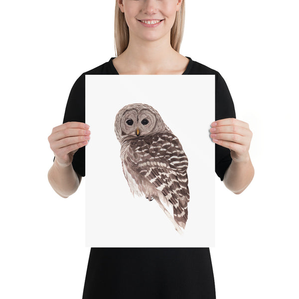 Barred Owl - Matte Poster Giclee Print