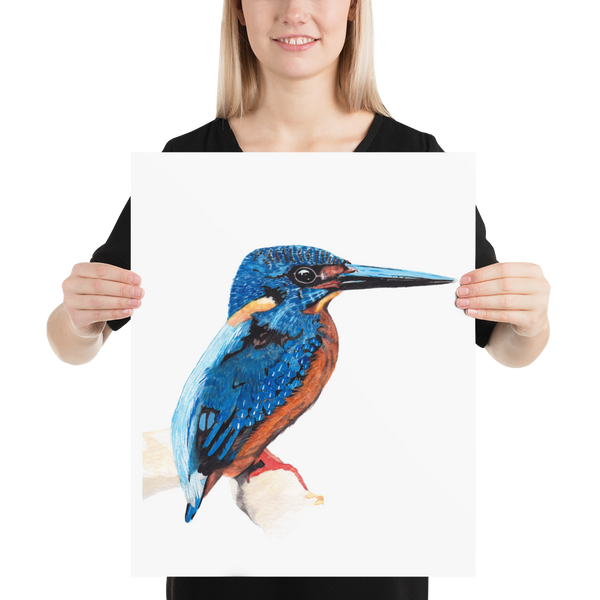 Common Kingfisher - Matte Poster Giclee Print
