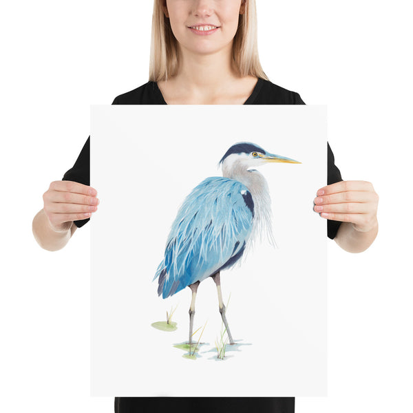 Blue Heron - Giclee Art Print